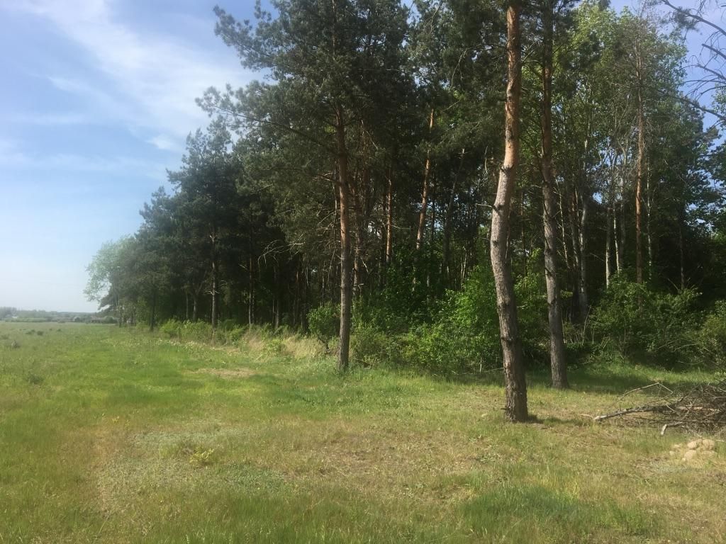 Działka budowlana Czarna Kolonia Różańcowa Wieś. Zdjęcie 4