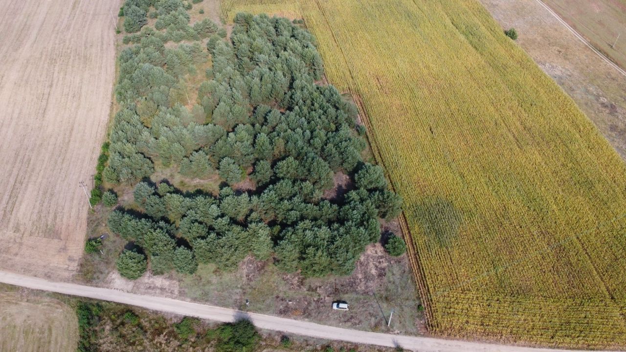Działka rolno-budowlana Brzeszczki Duże. Zdjęcie 7