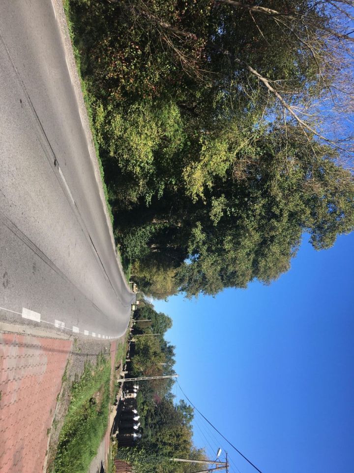 Działka rolno-budowlana Żdżarki. Zdjęcie 5