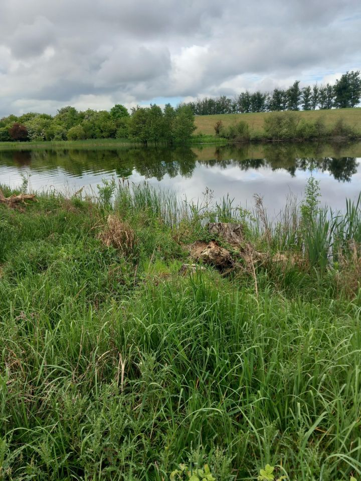 Działka budowlana Wapnica. Zdjęcie 3
