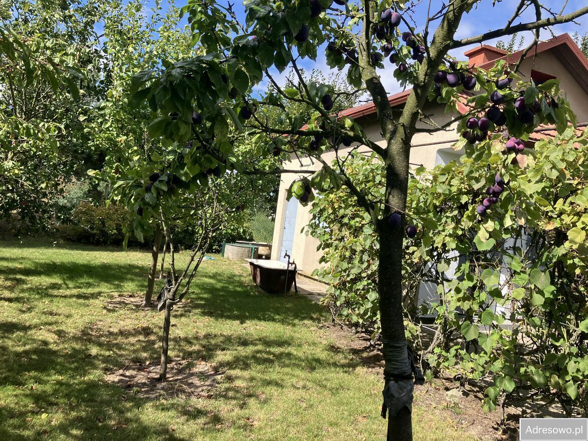 Działka rod Kalisz Szczypiorno, ul. Pogodna. Zdjęcie 3