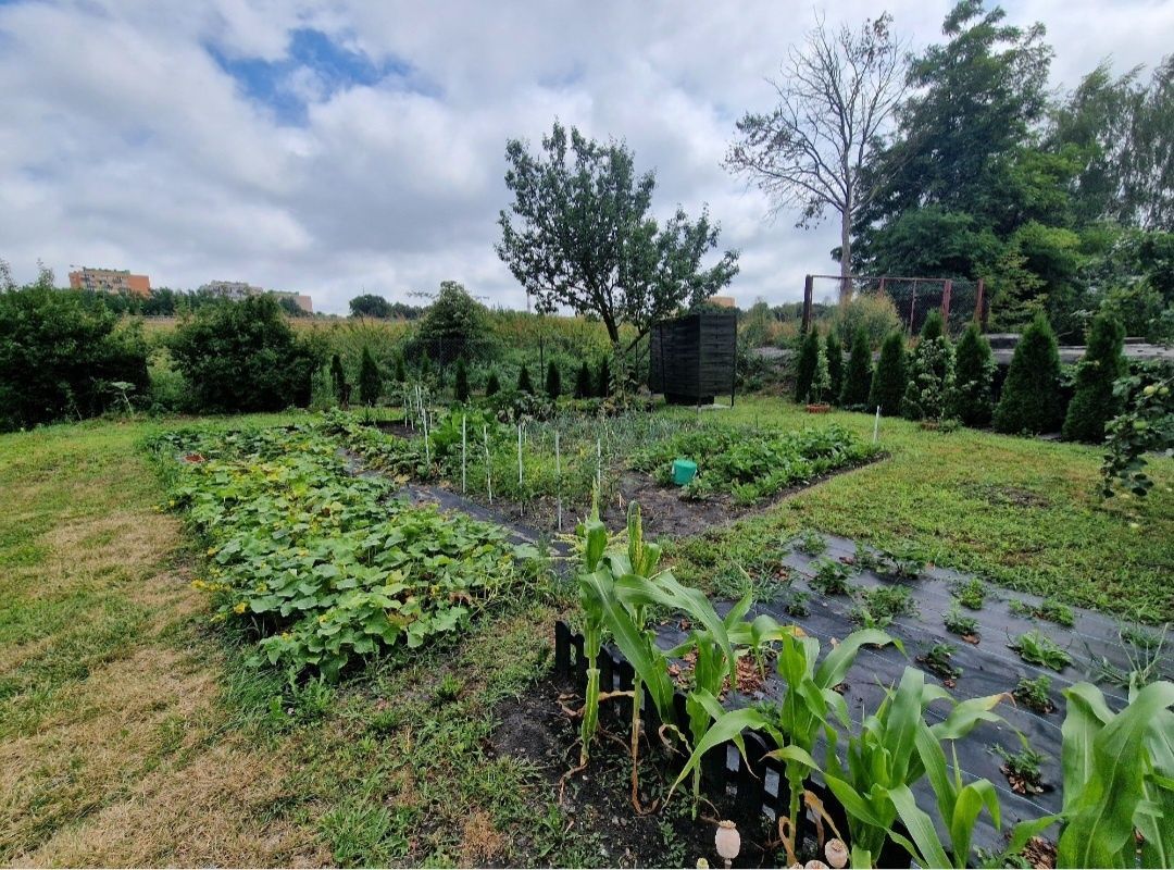 Działka rod Lublin. Zdjęcie 7