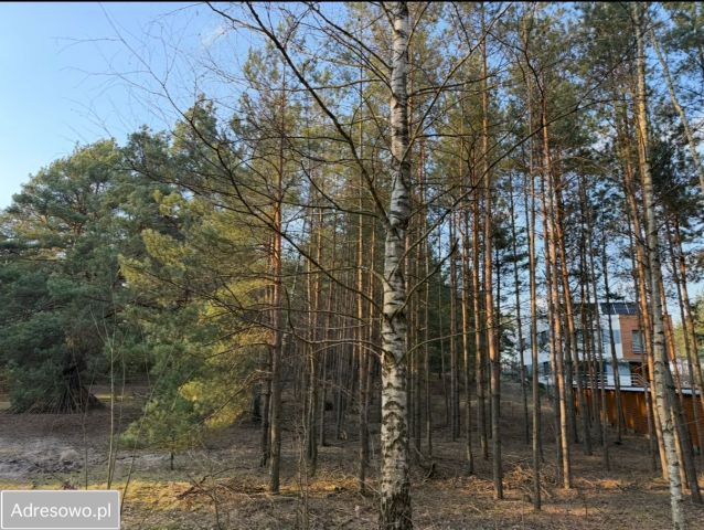 Działka budowlana Długosiodło Czwórki, ul. Czwórki. Zdjęcie 1