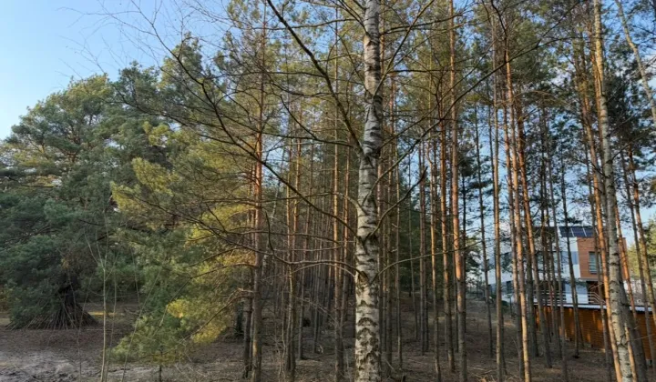 Działka budowlana Długosiodło Czwórki, ul. Czwórki