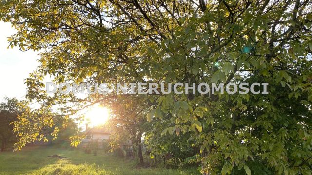 Działka budowlana Rogów. Zdjęcie 1