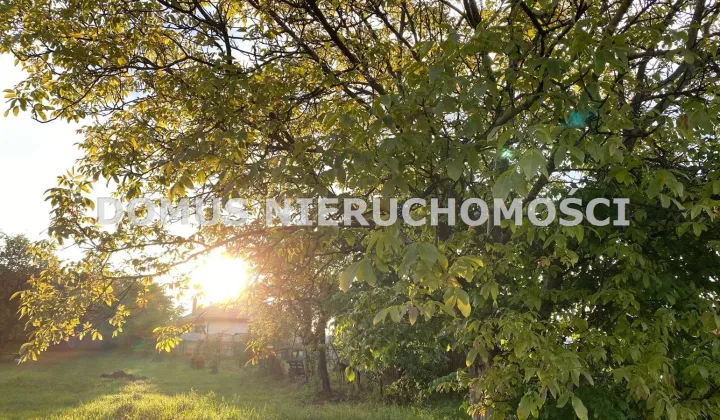 Działka budowlana Rogów