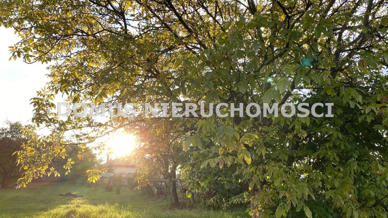 Działka budowlana Rogów. Zdjęcie 1