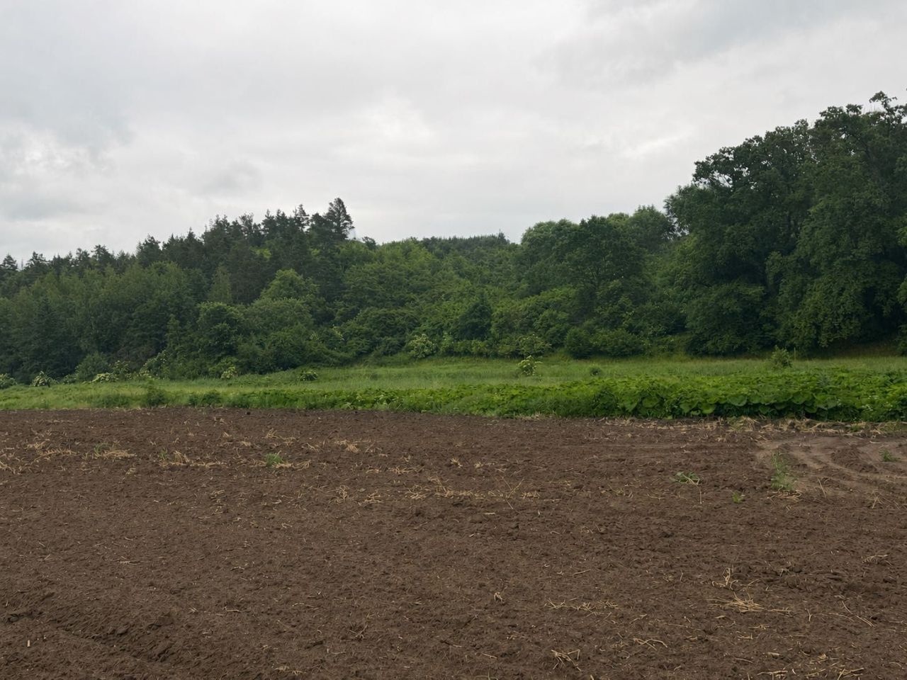 Działka budowlana Podzamcze. Zdjęcie 3