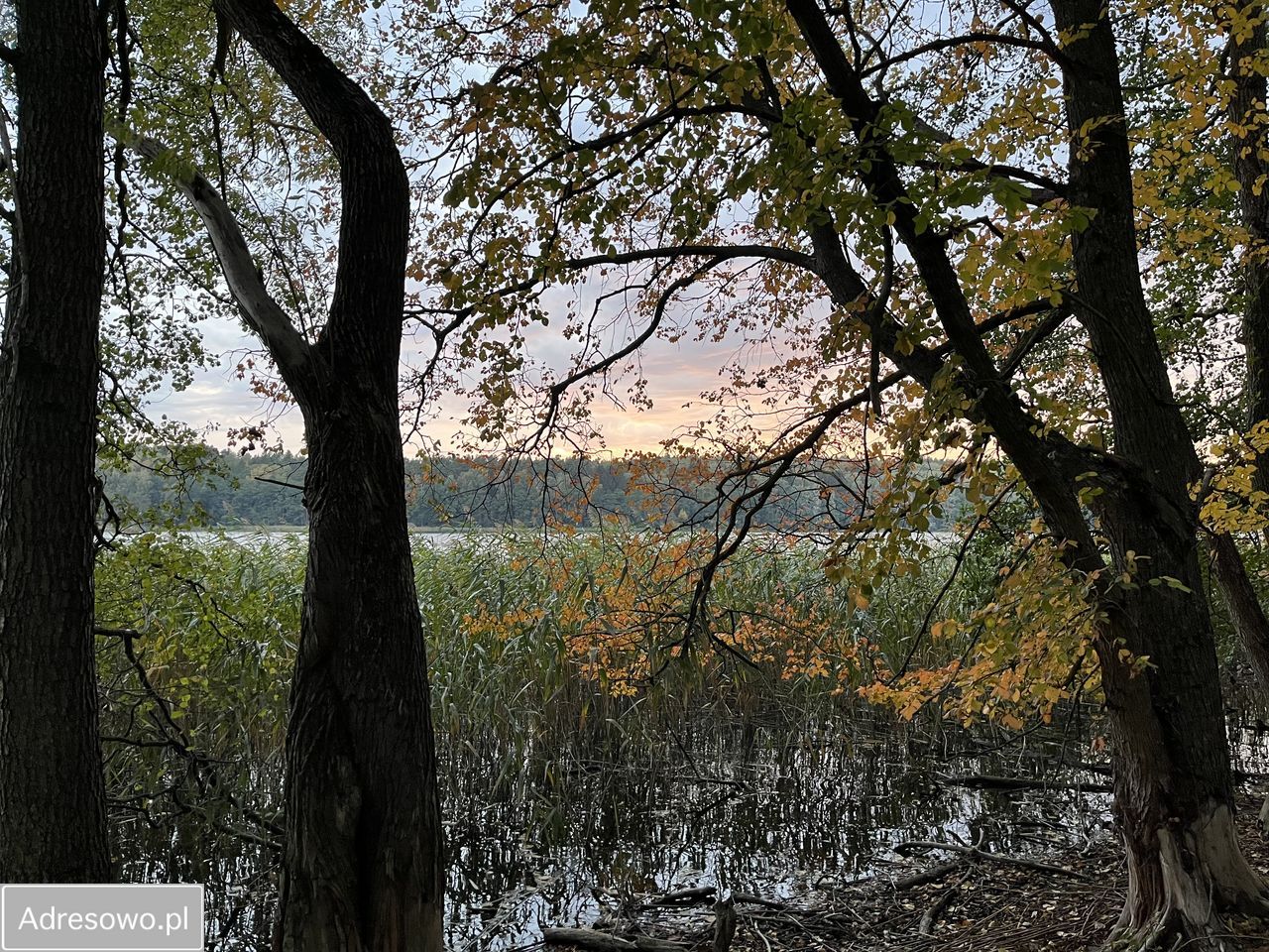 Działka budowlana Tumiany