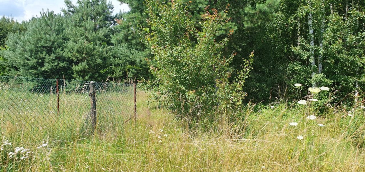 Działka rolna Życiny. Zdjęcie 3