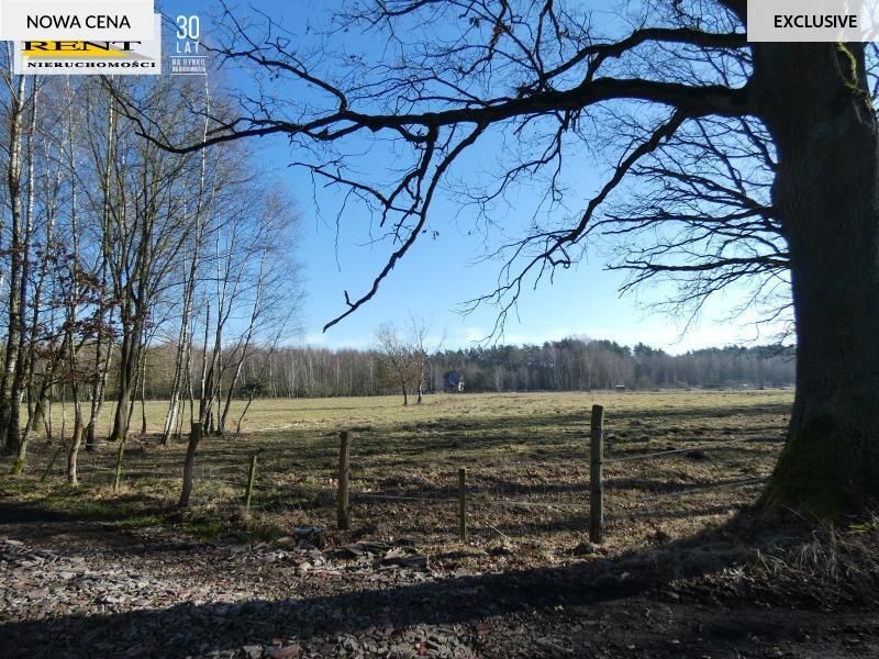 Działka budowlana Krzywice. Zdjęcie 6