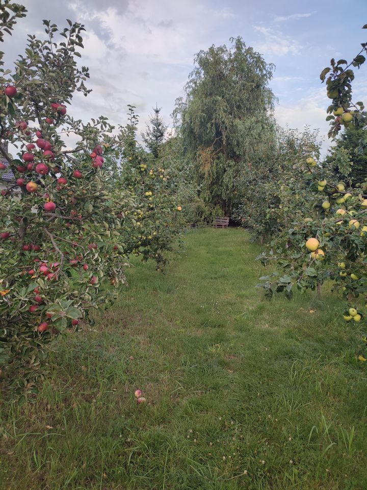 dom wolnostojący, 3 pokoje Częstochowa Grabówka, ul. Ikara. Zdjęcie 6