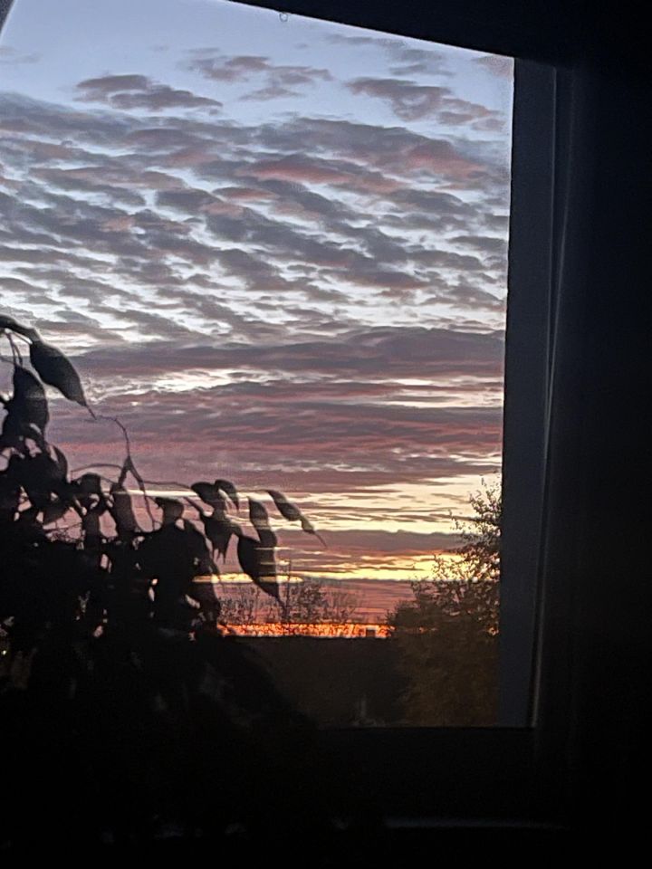 Mieszkanie 4-pokojowe Dębogórze, ul. Owsiana. Zdjęcie 12