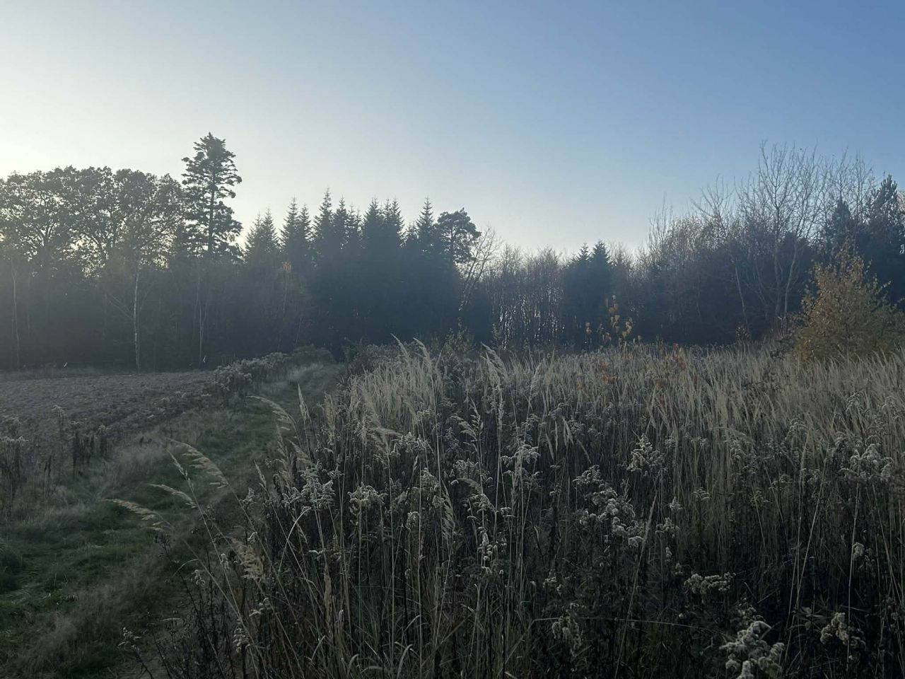 Działka budowlana Babice Półanki. Zdjęcie 10