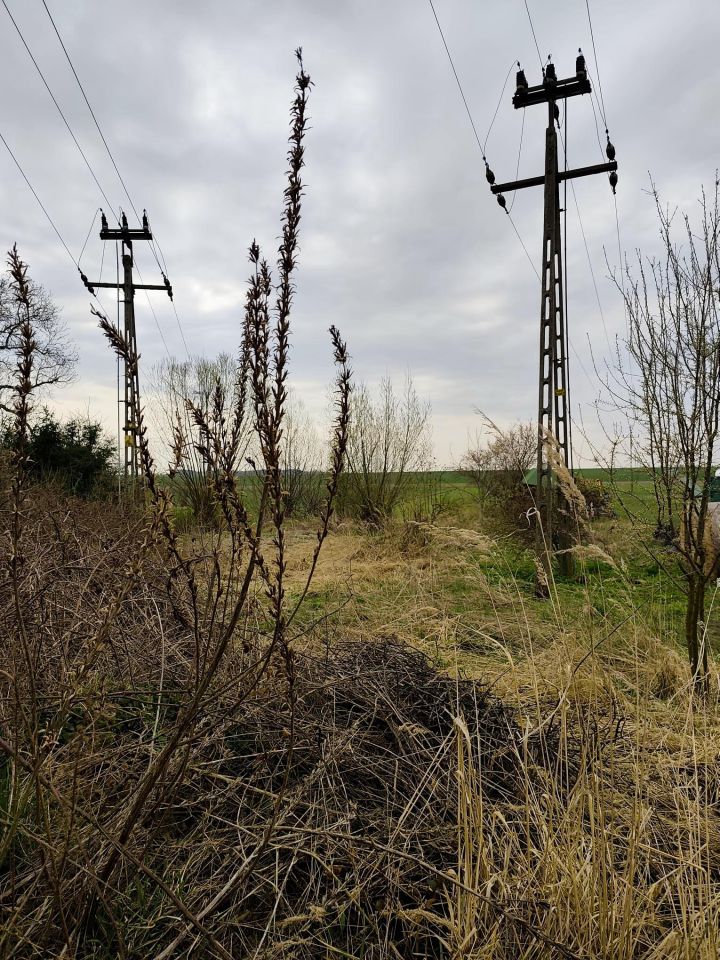 dom wolnostojący, 2 pokoje Sadogóra, Sadogóra. Zdjęcie 3