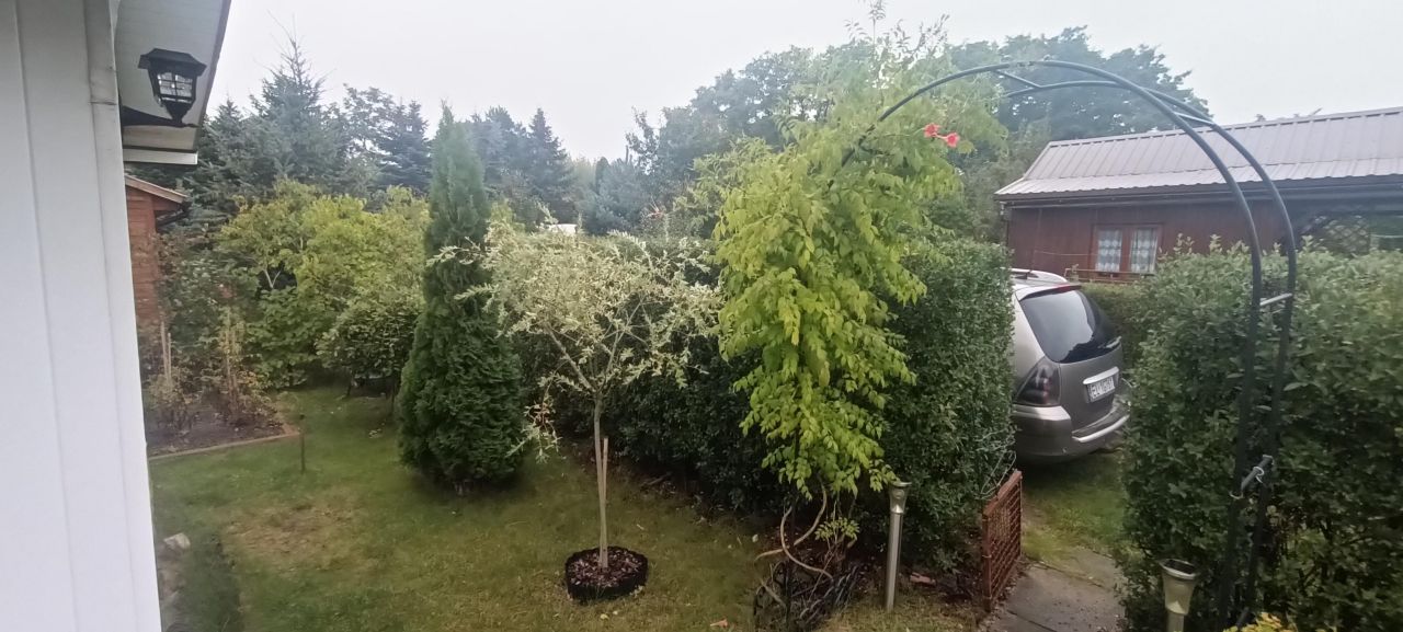 Działka rod Łódź Górna, ul. Lodowa. Zdjęcie 16
