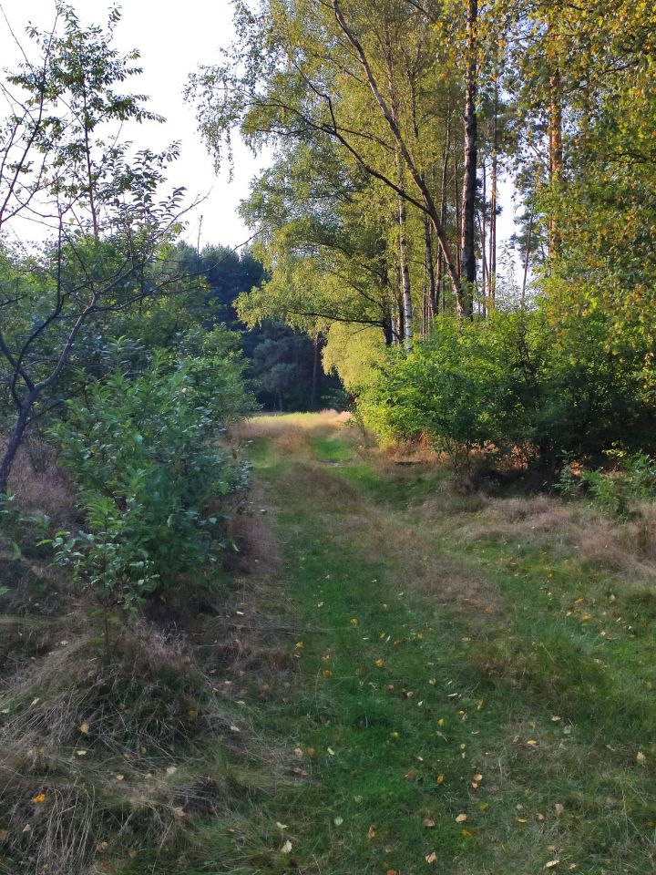 Działka rolna Wda. Zdjęcie 5