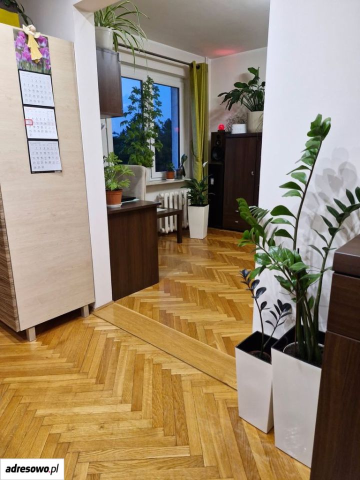 Mieszkanie 3-pokojowe Toruń Chełmińskie Przedmieście, ul. Rusa. Zdjęcie 11