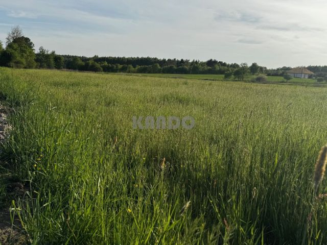 Działka budowlana Rościsławice, ul. Dzika. Zdjęcie 2