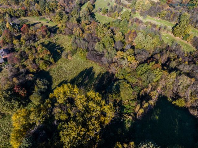 Działka budowlana Pawlikowice. Zdjęcie 2