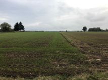 Działka rolno-budowlana Łosice. Zdjęcie 2