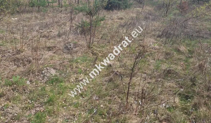 Działka budowlana Zalesie