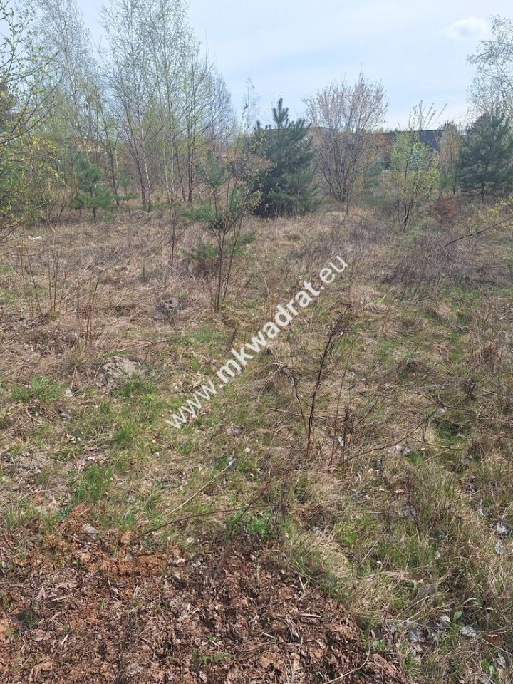 Działka budowlana Zalesie. Zdjęcie 1