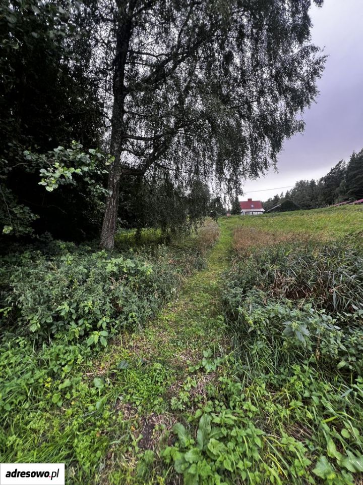 Działka rolno-budowlana Stręgielek. Zdjęcie 9