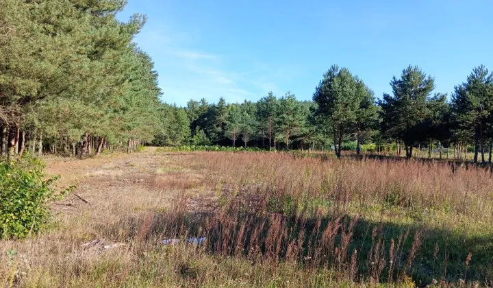Działka budowlana Wypychów