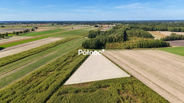 Działka budowlana Kościeniewicze. Zdjęcie 10