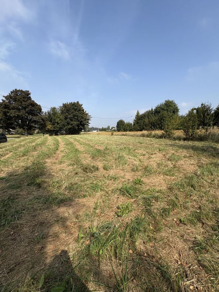 Działka rolno-budowlana Stojeszyn Pierwszy. Zdjęcie 3