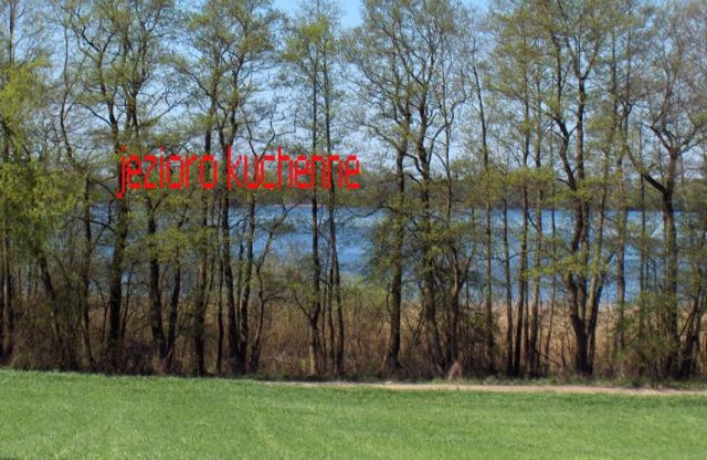 Działka rolna Chrzypsko Małe. Zdjęcie 4