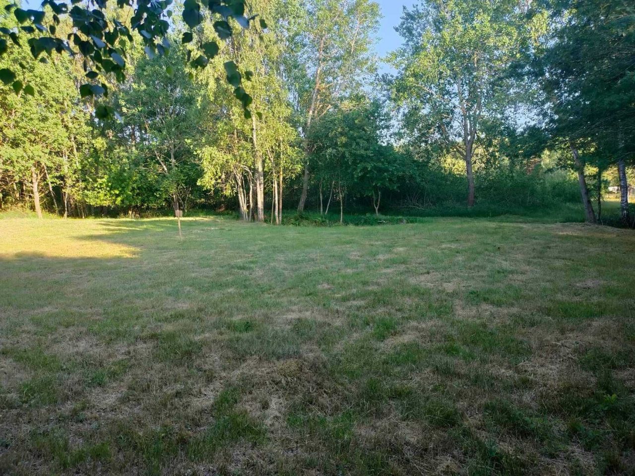 Działka rekreacyjna Ostrowo. Zdjęcie 4