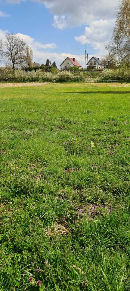 Działka budowlana Gryfino. Zdjęcie 2