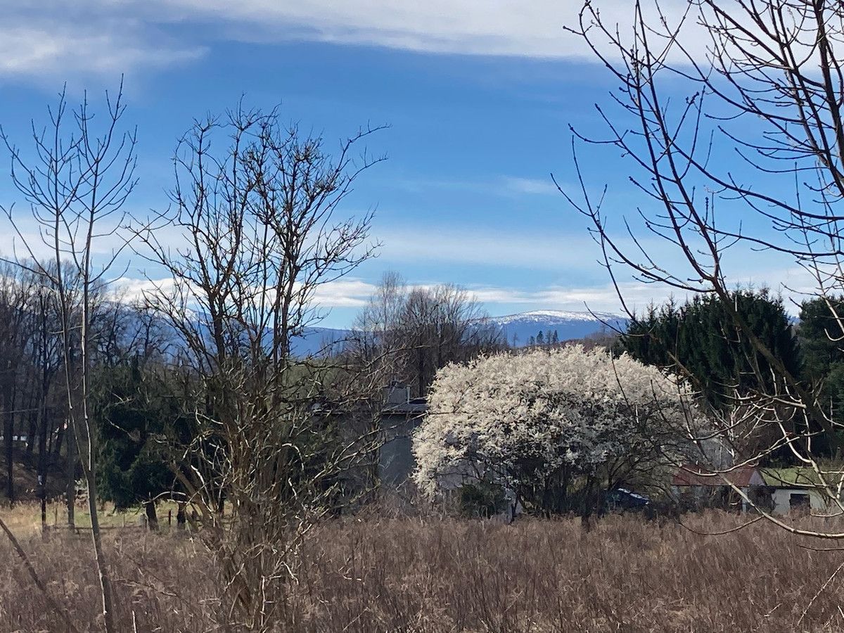 Działka budowlana Jelenia Góra Grabary. Zdjęcie 4