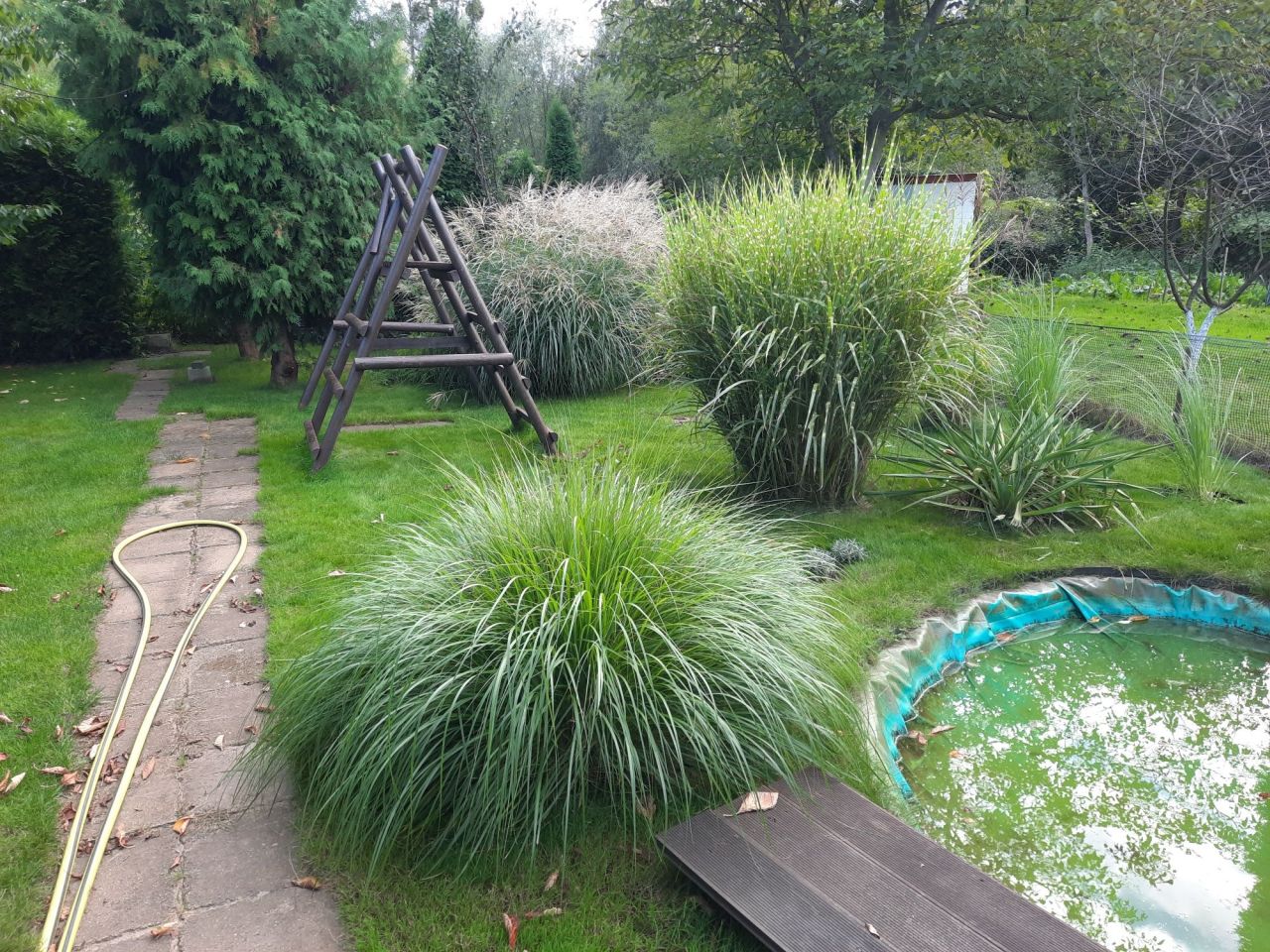 Działka rod Toruń, ul. Stanisława Przybyszewskiego. Zdjęcie 5