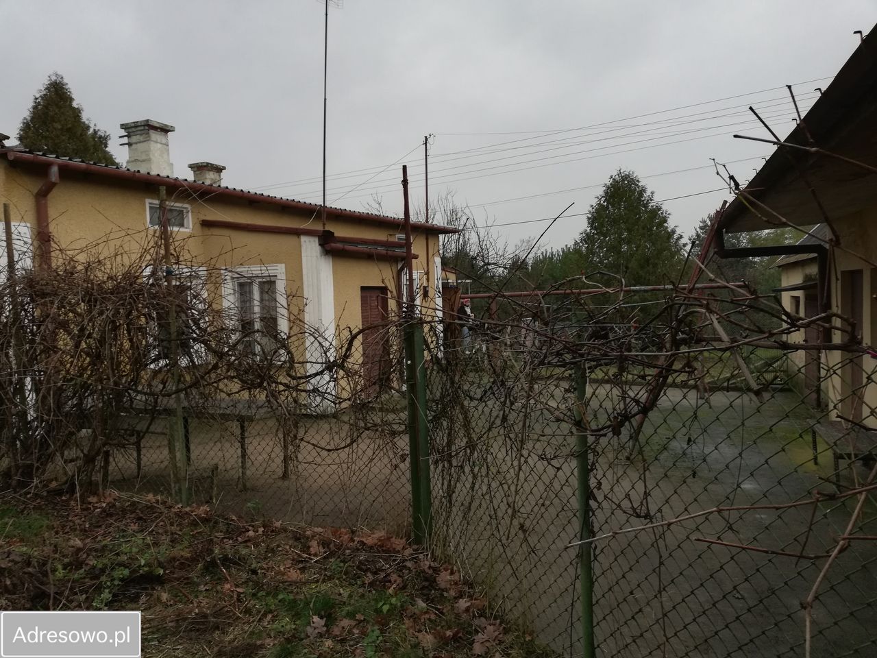 gospodarstwo Wymysły, ul. Aroniowa. Zdjęcie 10