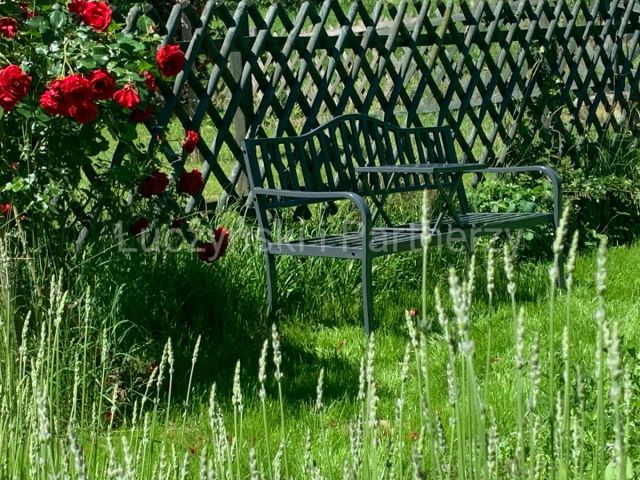 dom wolnostojący, 10 pokoi Dębowy Gaj. Zdjęcie 7