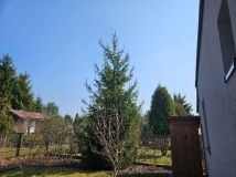 Działka rod Tomaszów Mazowiecki. Zdjęcie 3