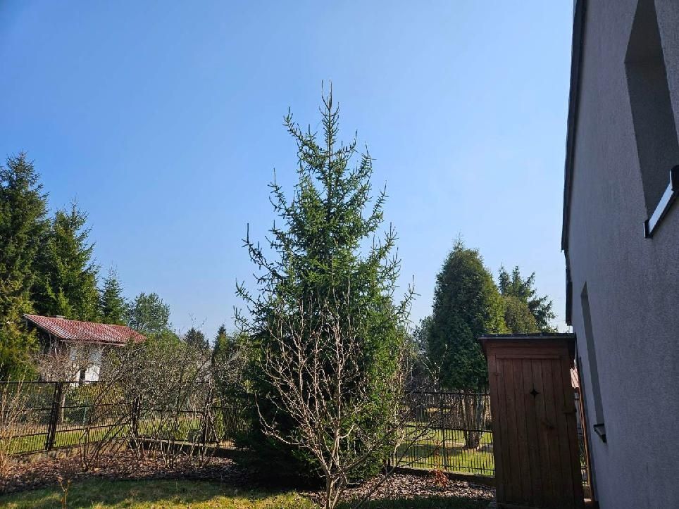 Działka rod Tomaszów Mazowiecki. Zdjęcie 4