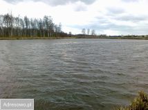 dom wolnostojący Dobrut. Zdjęcie 3