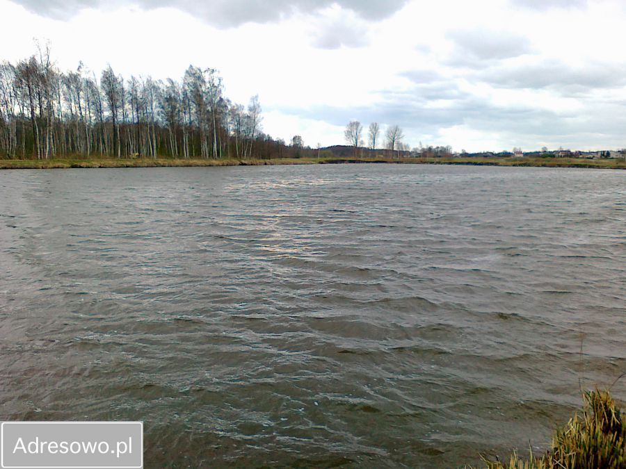 dom wolnostojący Dobrut. Zdjęcie 4