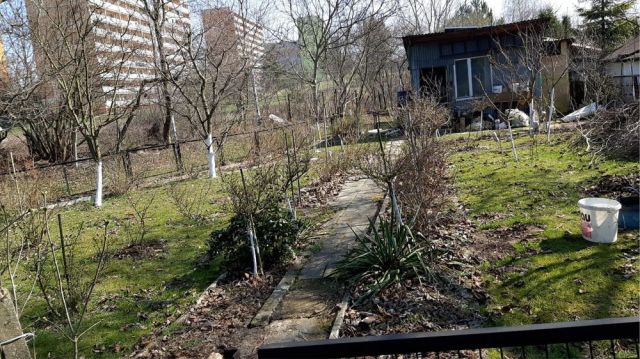 Działka rod Rybnik, ul. Brzozowa. Zdjęcie 1