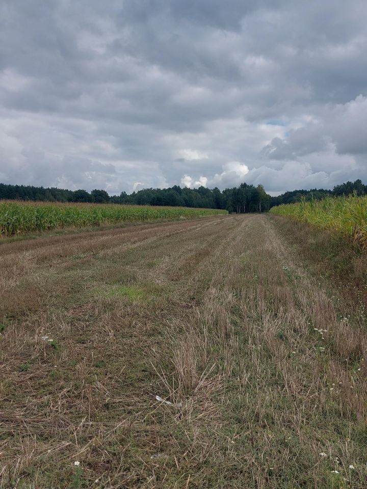 Działka rolna Podwody-Kolonia. Zdjęcie 5