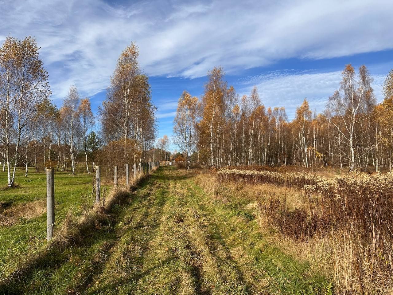 Działka budowlana Wymiarki. Zdjęcie 6
