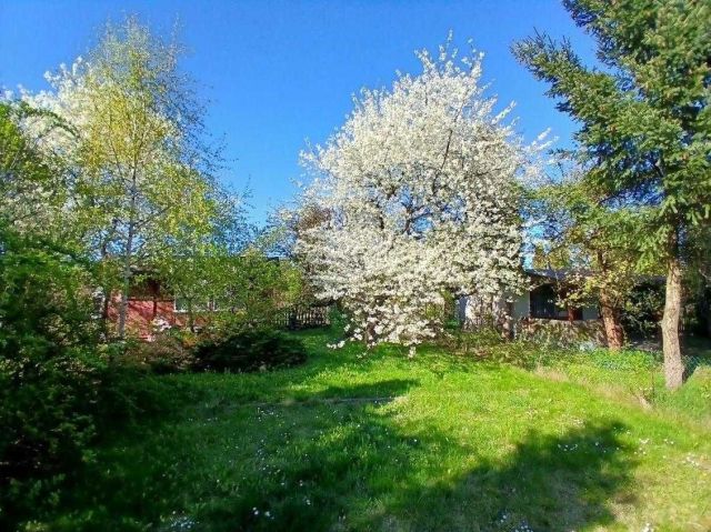 Działka rod Rybnik Maroko-Nowiny, ul. Brzozowa. Zdjęcie 1