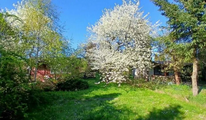 Działka rod Rybnik Maroko-Nowiny, ul. Brzozowa