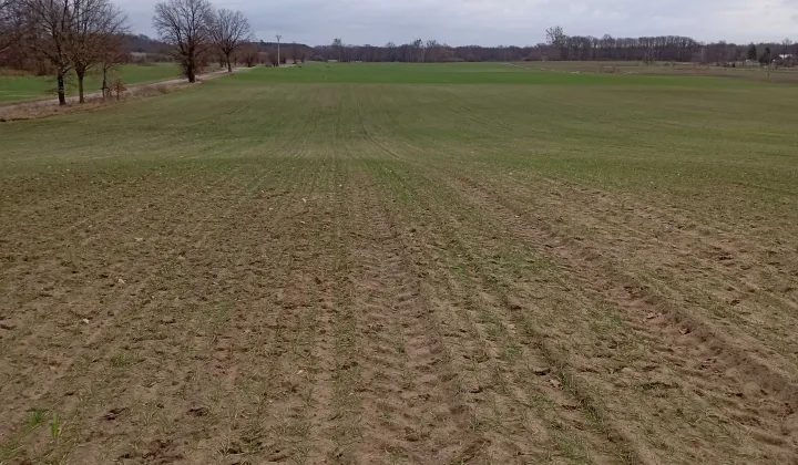 Działka budowlana Wytomyśl, ul. Wypoczynkowa