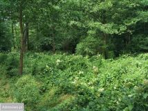 Działka budowlana Ostróda, ul. Celestyna Mrongowiusza. Zdjęcie 1