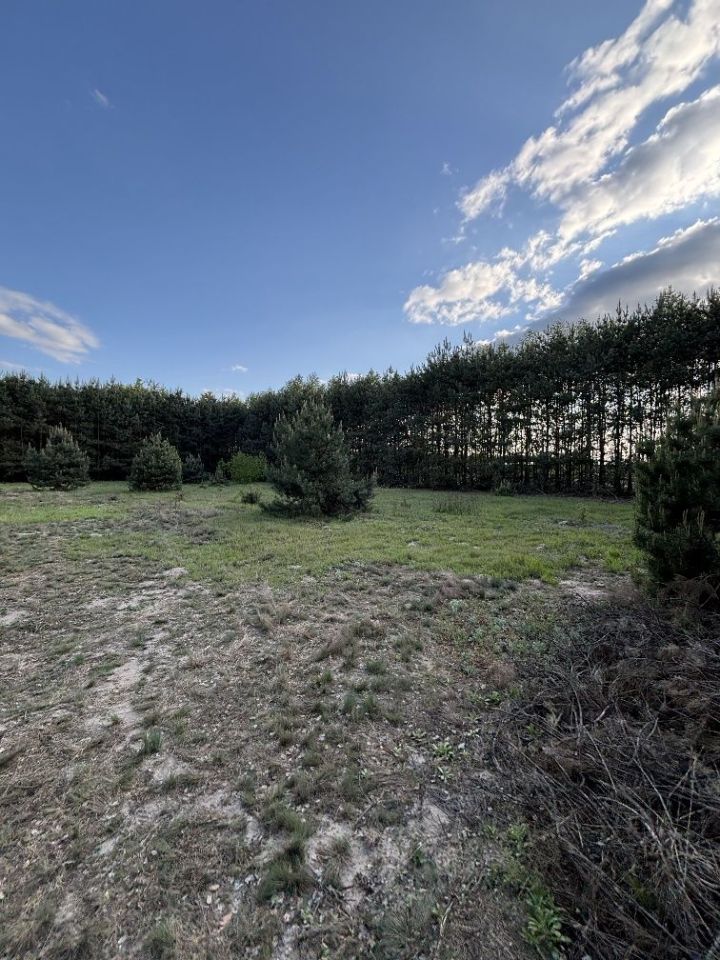 Działka rolno-budowlana Wólka Kobyla. Zdjęcie 5